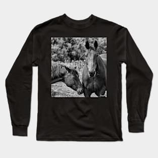 Horses on Pereau Rd Long Sleeve T-Shirt